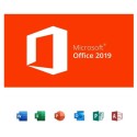 Office Professional Plus 2019 licencia para 1 Computador Microsoft - 1