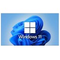 Licencia Windows 11 Pro OEM Microsoft - 1