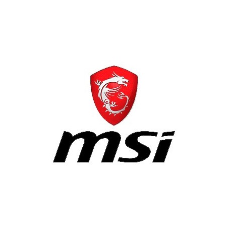 MSI
