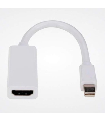 Xtech - Adaptador DisplayPort  - 19 pin HDMI Type A  - 2