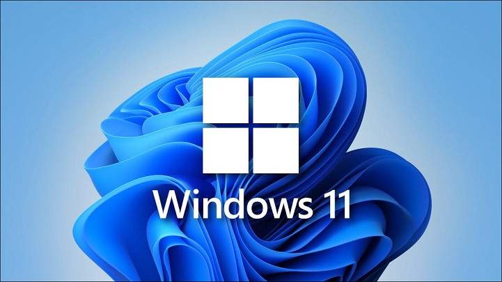 Compra Windows 11 Pro OEM