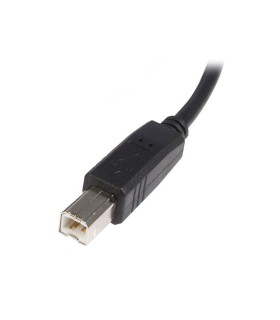 Cable USB de 5metros para Impresora - USB2HAB5M Startech - 3