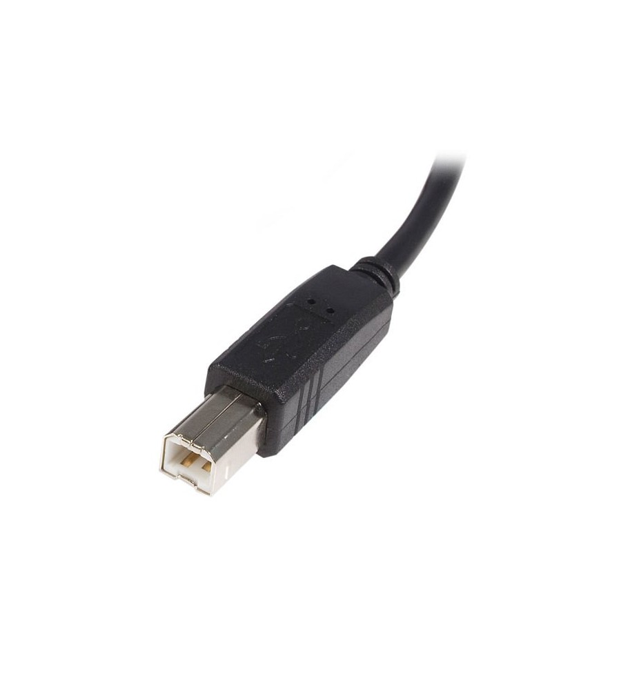 Cable USB de 5metros para Impresora - USB2HAB5M Startech - 3