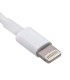 Cable lip Xtreme - USB cable - Apple Lightning - KAA-005  - 2
